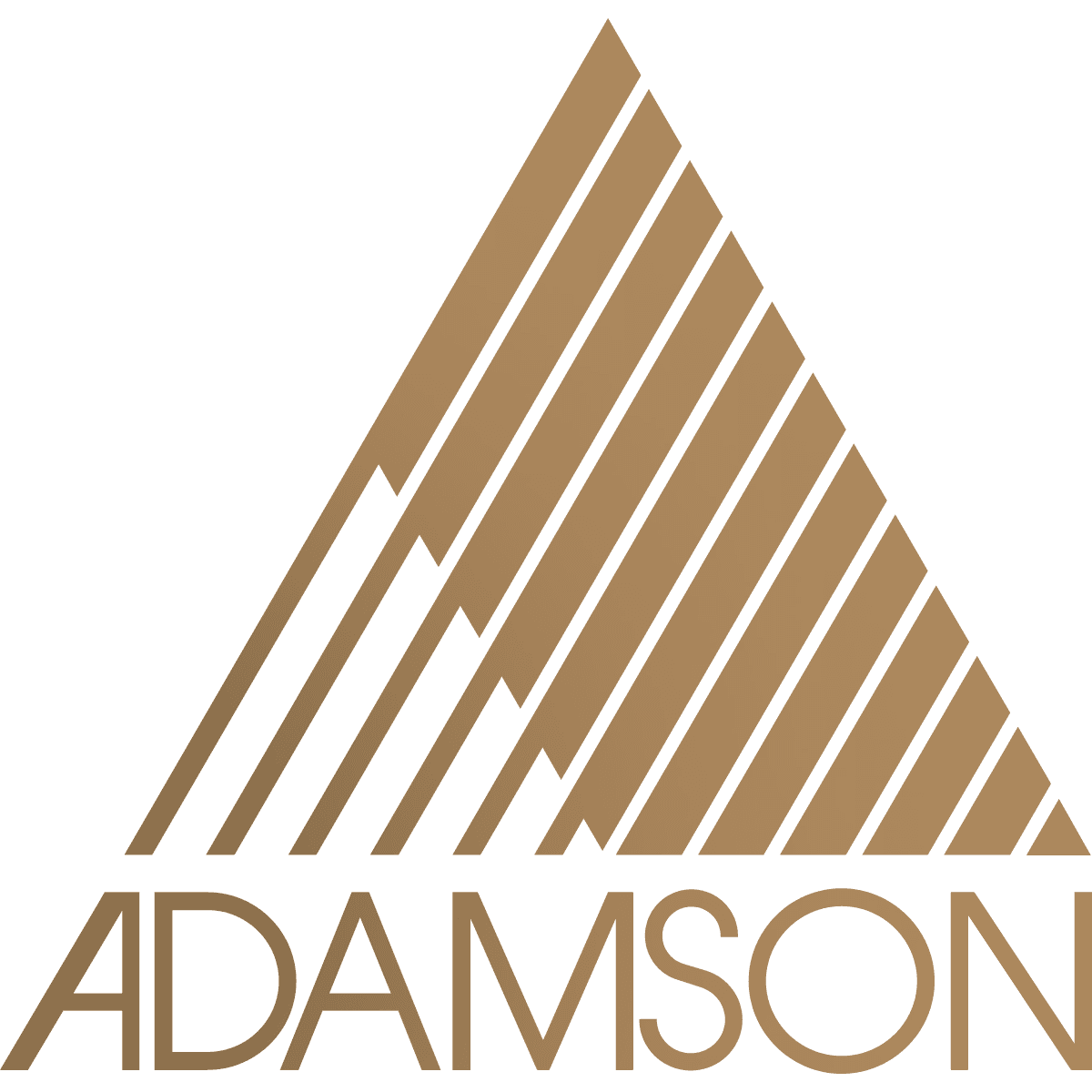 Adamson logo